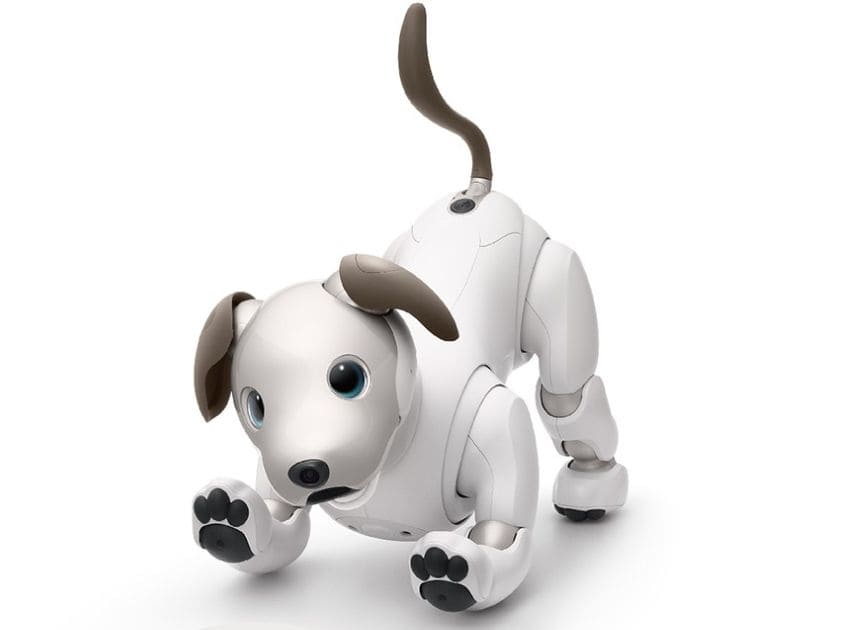 AIBO